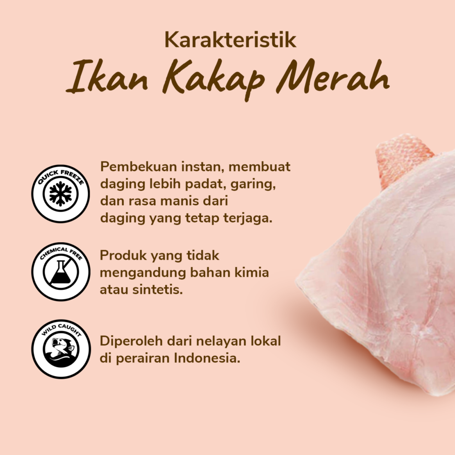 Ikan Kakap Merah Fillet 500gram