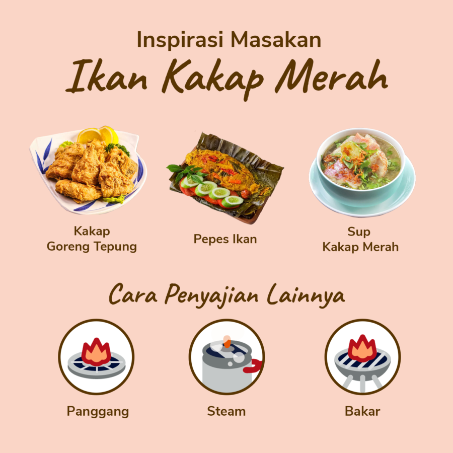 Ikan Kakap Merah Fillet 500gram