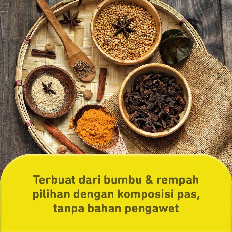 Indofood Racik Bumbu Spesial Opor 45gram