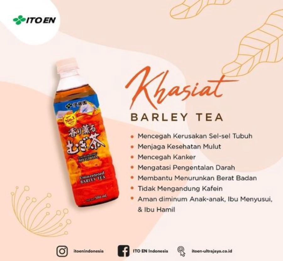 Ito En Unsweetened Barley Tea 500ml