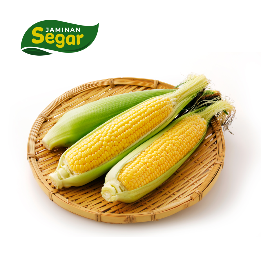 Jagung Manis Hokkaido Umatomo - Astro Goods 2pcs