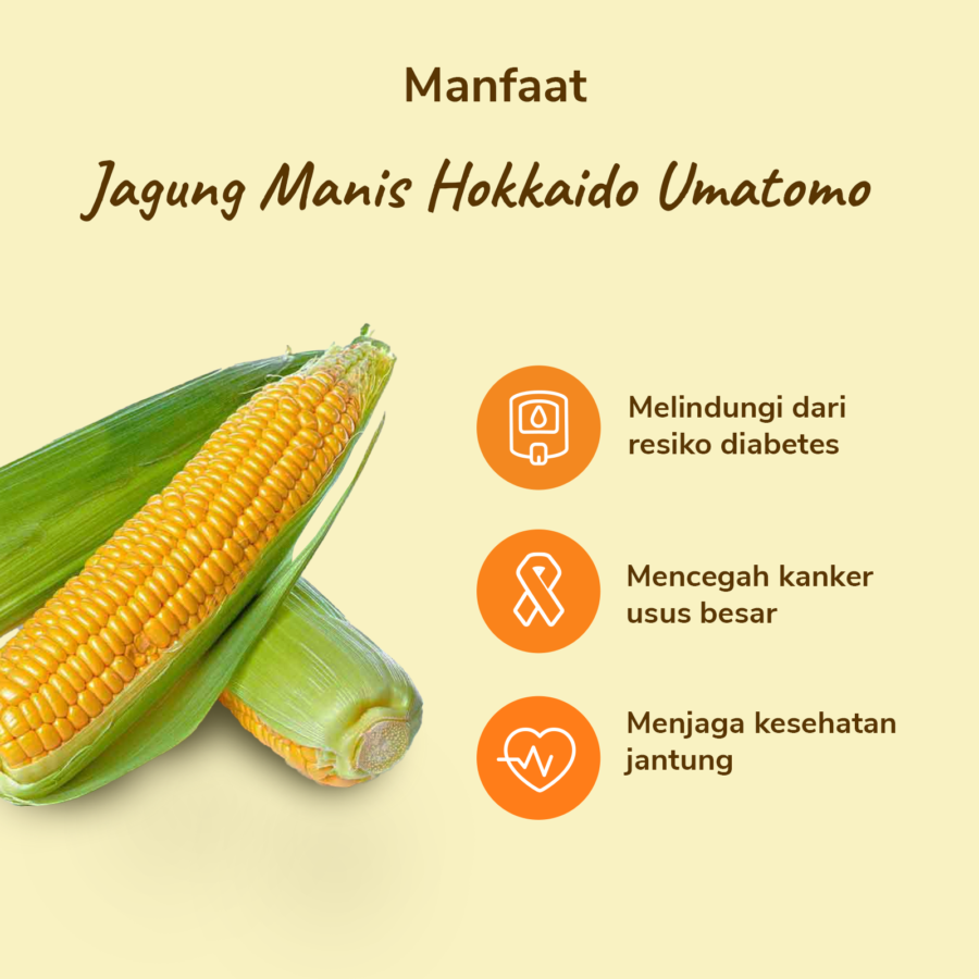 Jagung Manis Hokkaido Umatomo - Astro Goods 2pcs