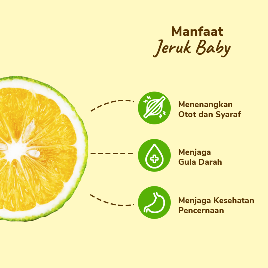 Jeruk Baby Lokal Astro Farm 3-4 pcs 460-500 gram