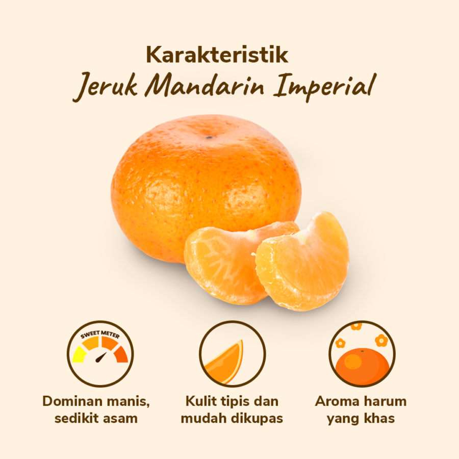 Jeruk Mandarin Imperial Less Seed - Astro Farm 500gr - 550gr, 5-8pcs/pack 1pcs