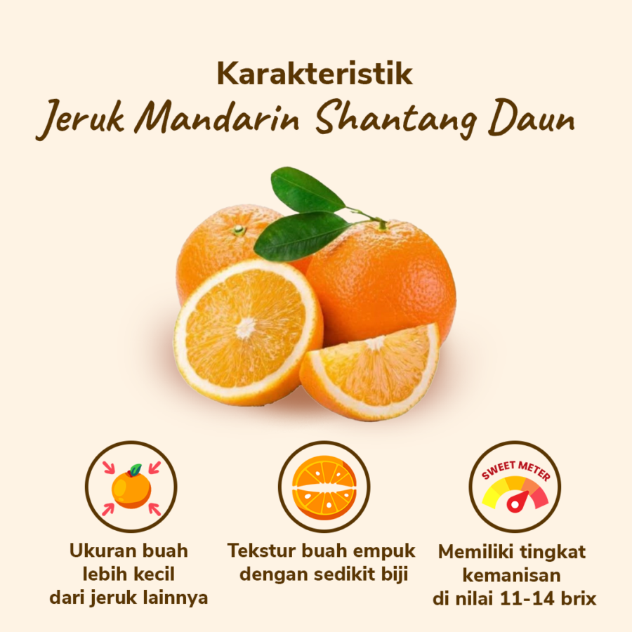 Jeruk Mandarin Shantang Daun Less Seed - Astro Farm 800gram