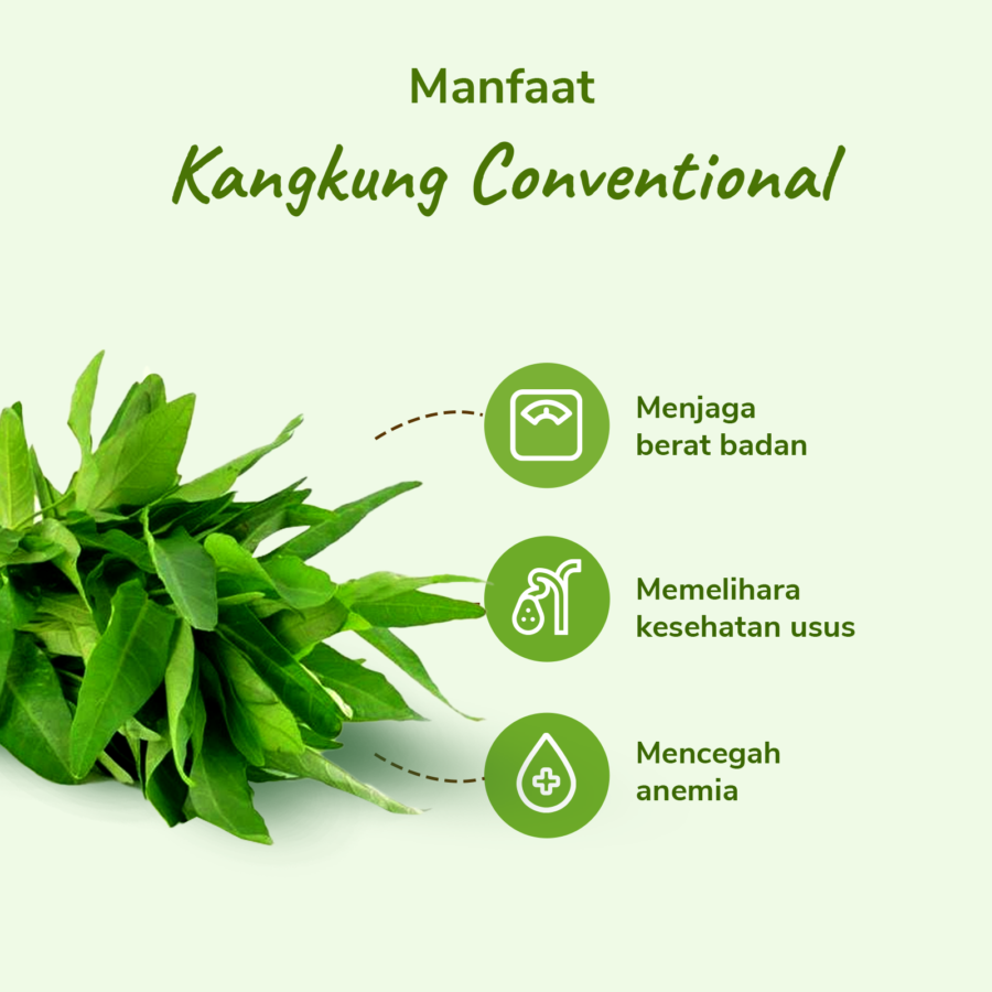 Kangkung Konvensional Astro Farm 200gram