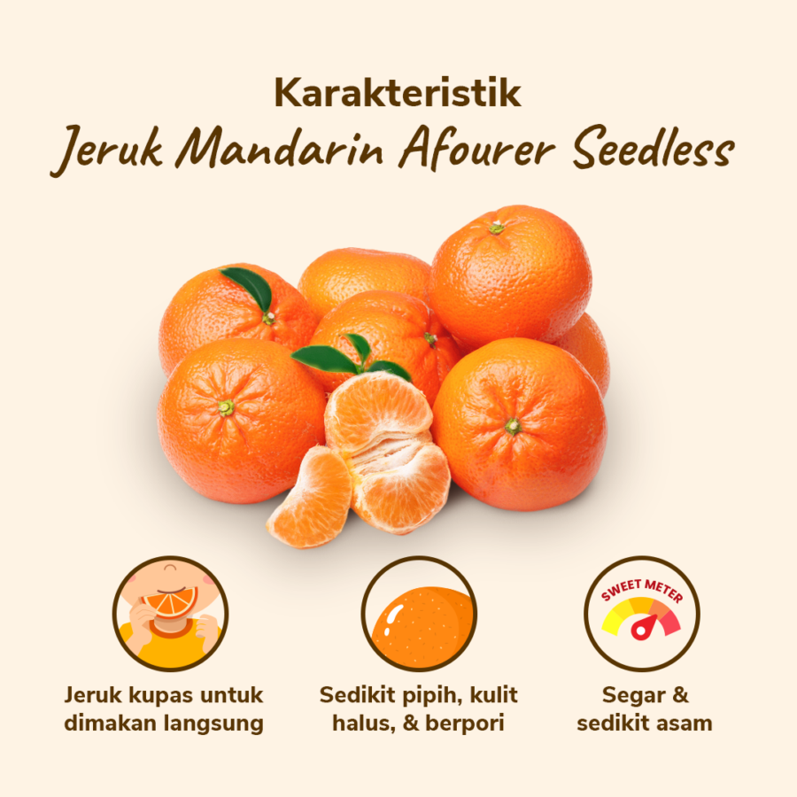 Jeruk Mandarin Afourer Seedless Astro Farm 3-6 pcs 500-550 gram