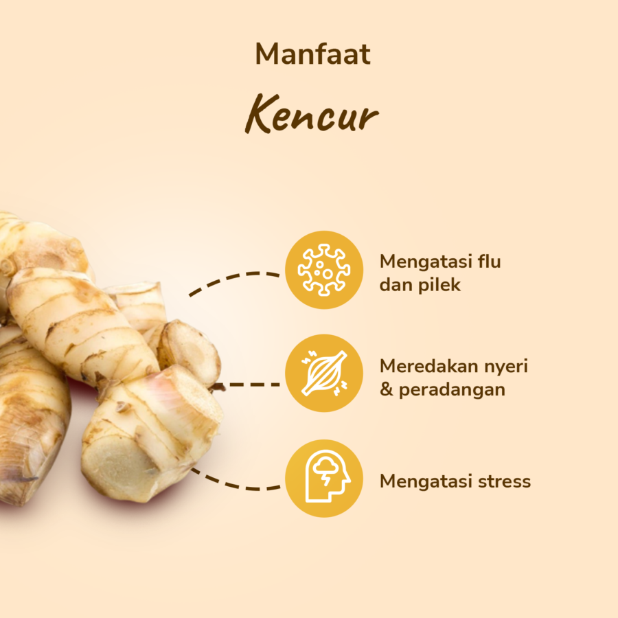 Kencur Astro Farm 100gram