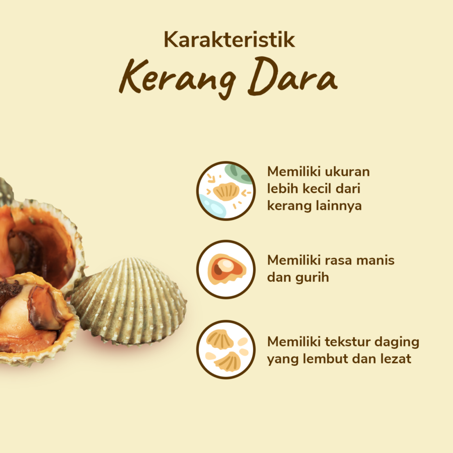 Kerang Dara Utuh Besar Astro Basics 500gram