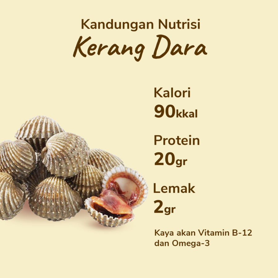 Kerang Dara Utuh Besar Astro Basics 500gram