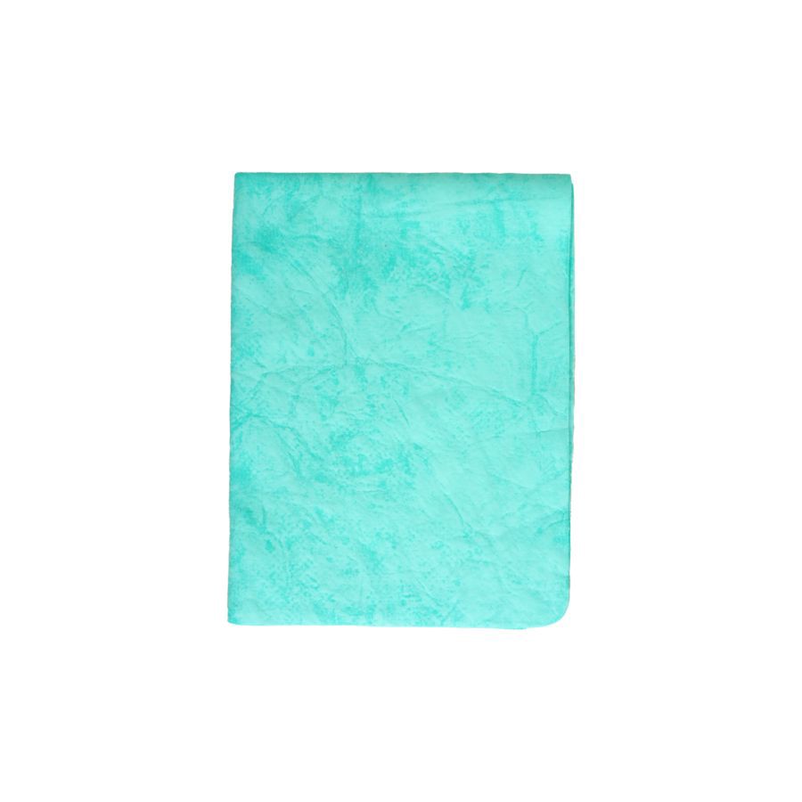 Lab Kanebo Chamois A Basics 1pcs