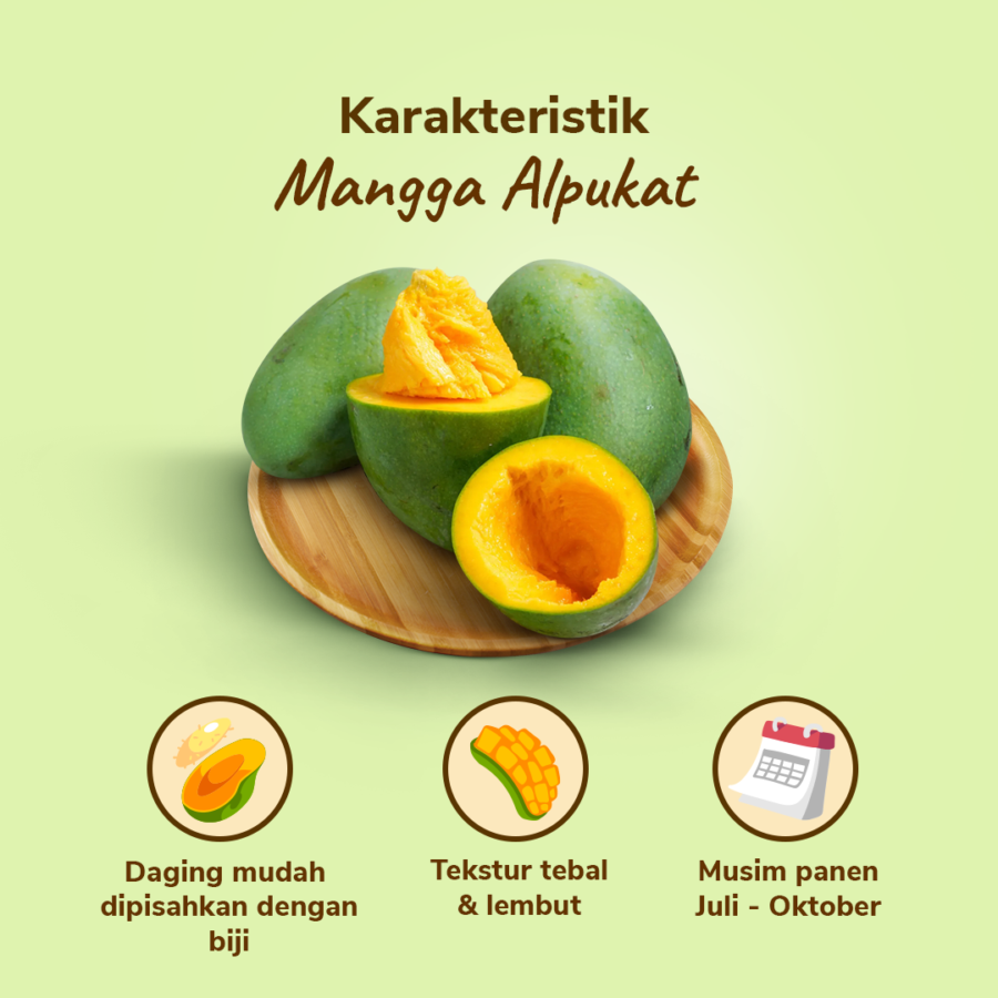 Mangga Alpukat Astro Farm 3-4 pcs 900-1000 gram
