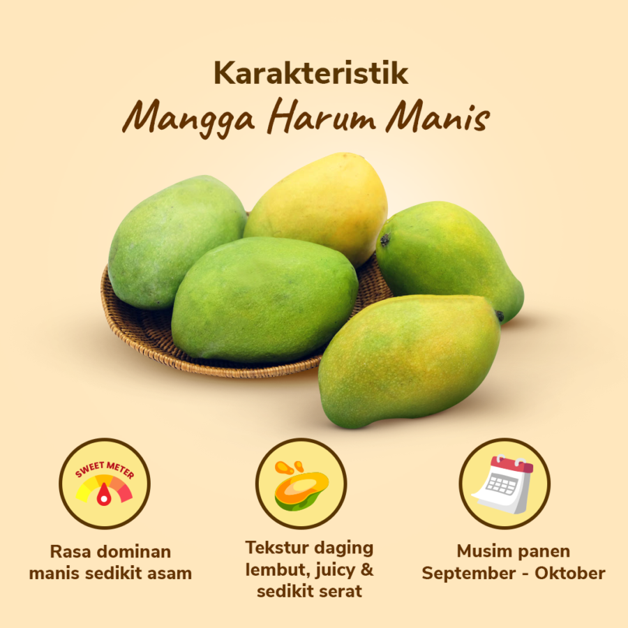 Mangga Harum Manis Astro Farm 2-4 pcs 900-1000 gram