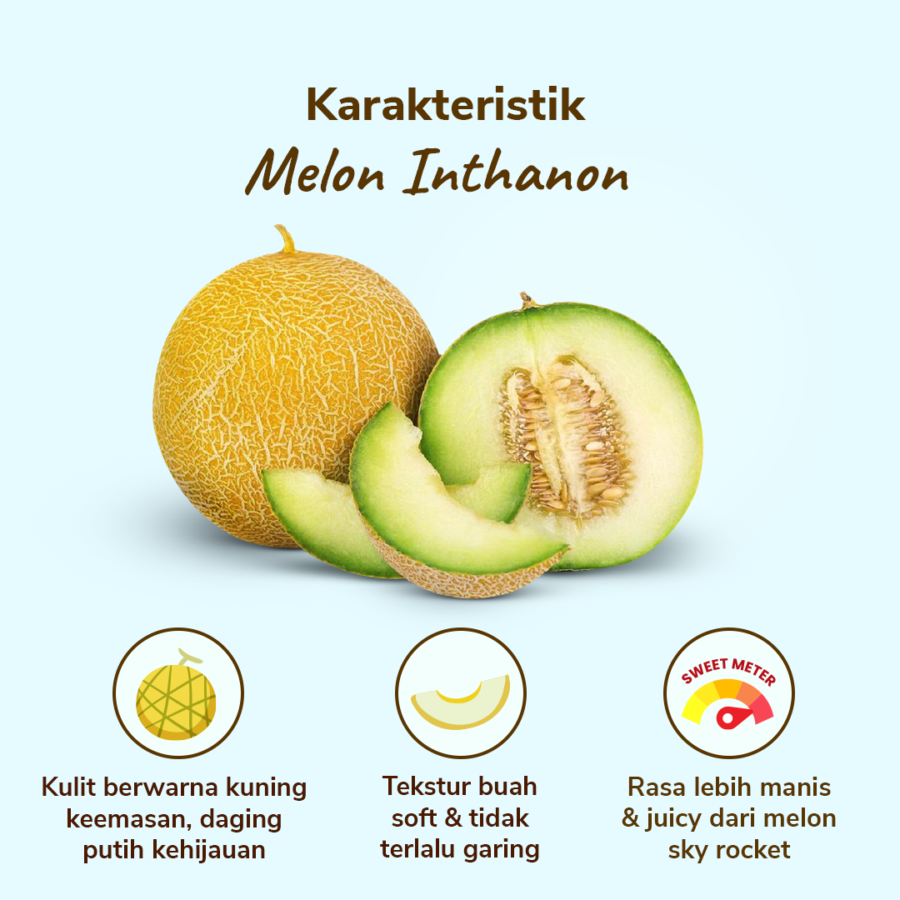 Melon Inthanon Astro Farm 1 pcs 900-1200 gram