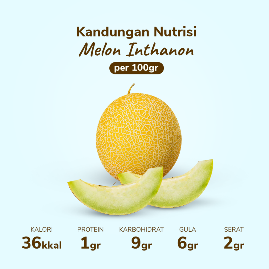 Melon Inthanon Astro Farm 1 pcs 900-1200 gram