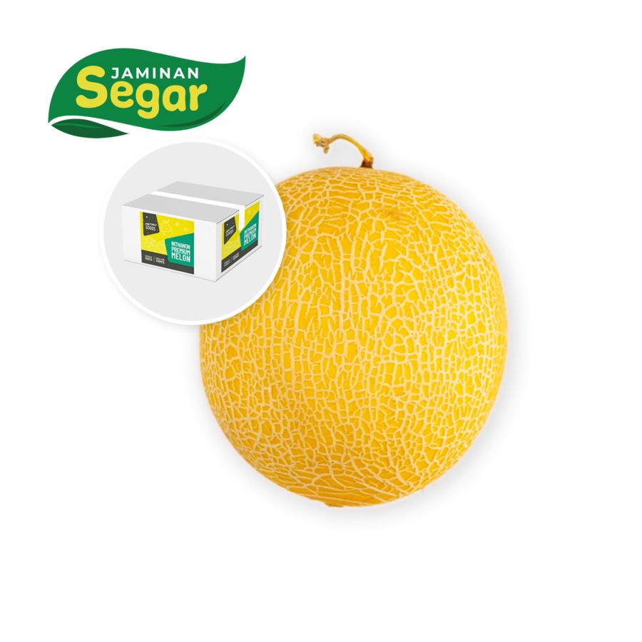 Melon Inthanon Size XXL - Astro Goods 1400gram