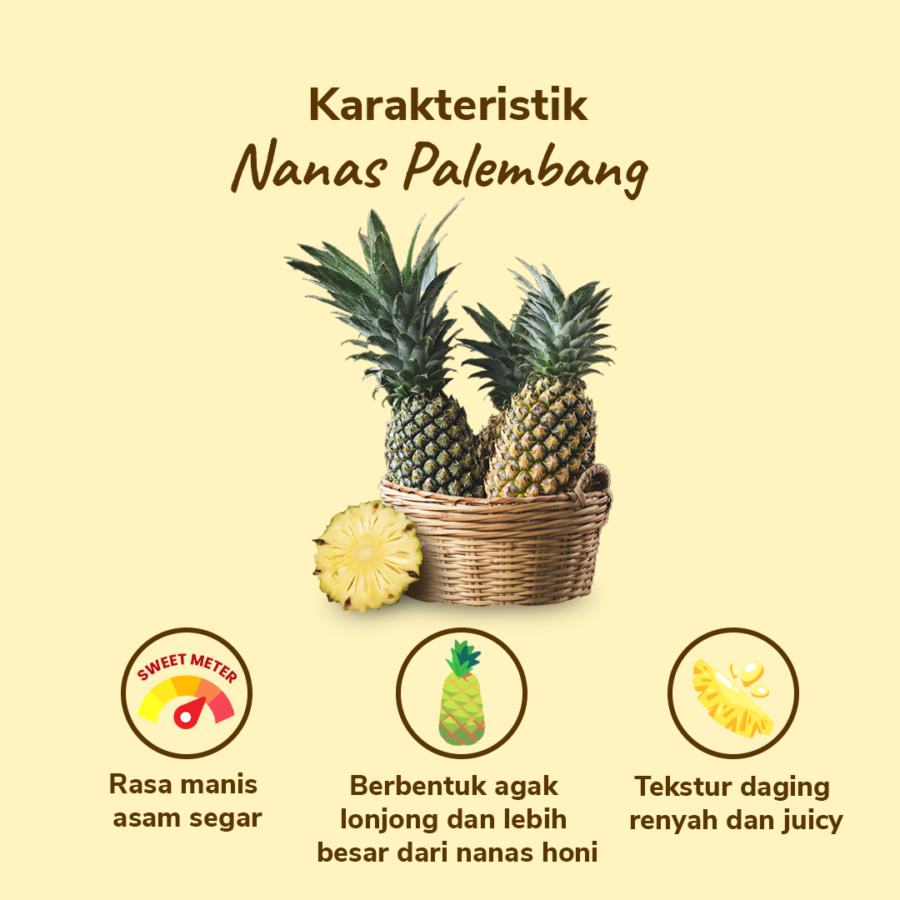 Nanas Palembang Astro Farm 1 pcs 800-1000 gram