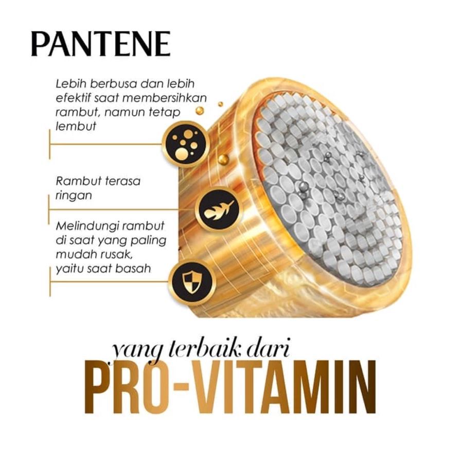 Pantene Shampoo Hair Fall Control/Anti Rambut Rontok 290ml