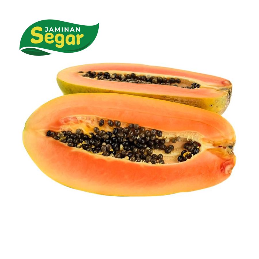 Pepaya California Jumbo - Astro Farm 1pcs