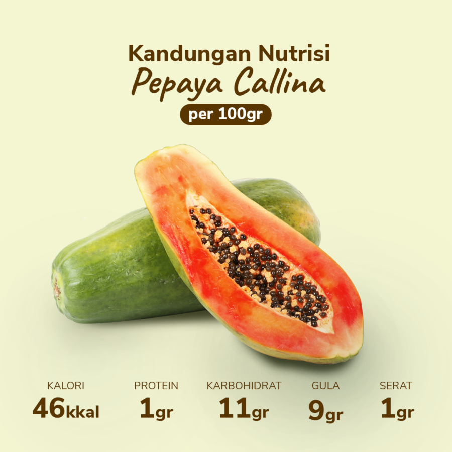 Pepaya Callina - Astro Farm 1pcs