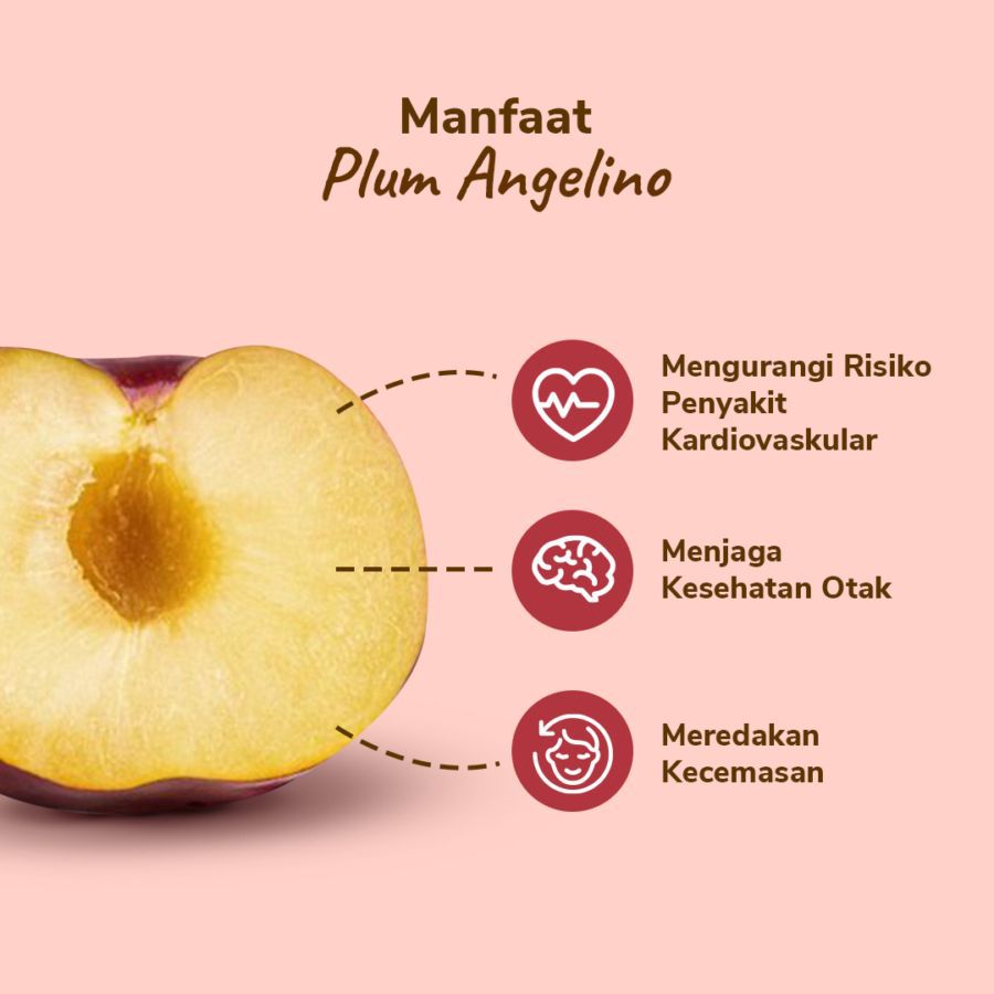 Plum Angelino Astro Farm 4-7 pcs 430-480 gram