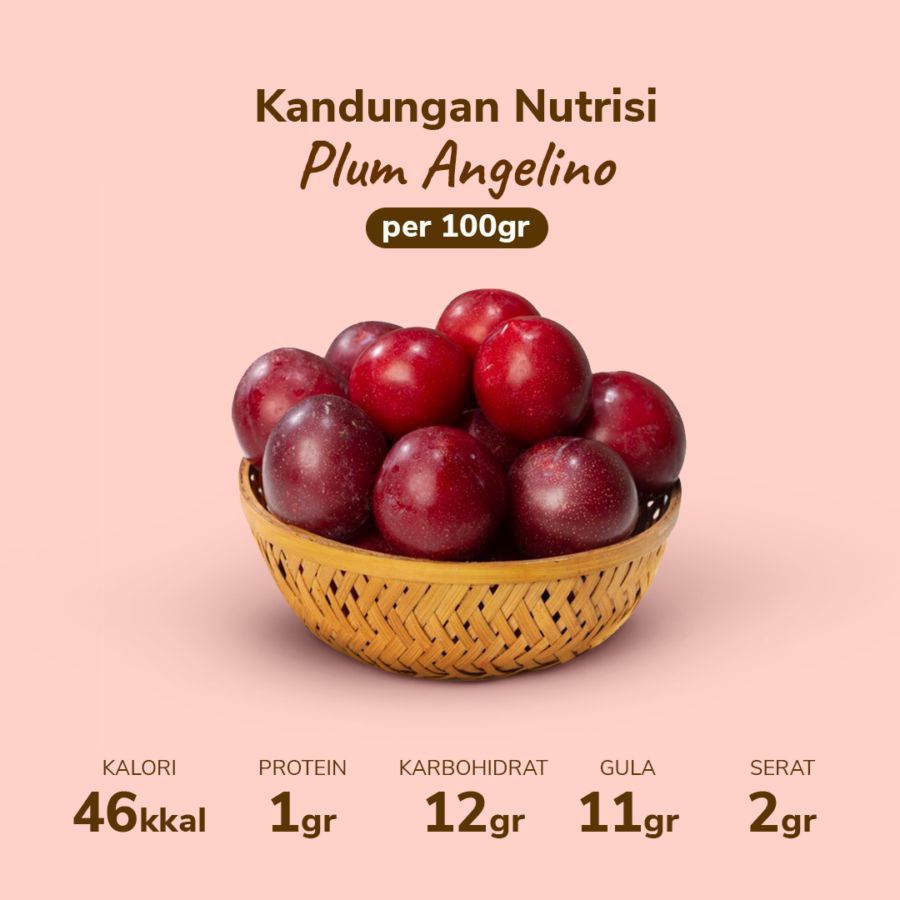 Plum Angelino Astro Farm 4-7 pcs 430-480 gram