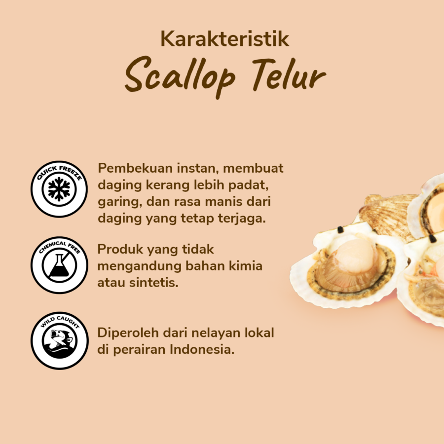Scallop Telur Java Sea x Astro Goods 300gram