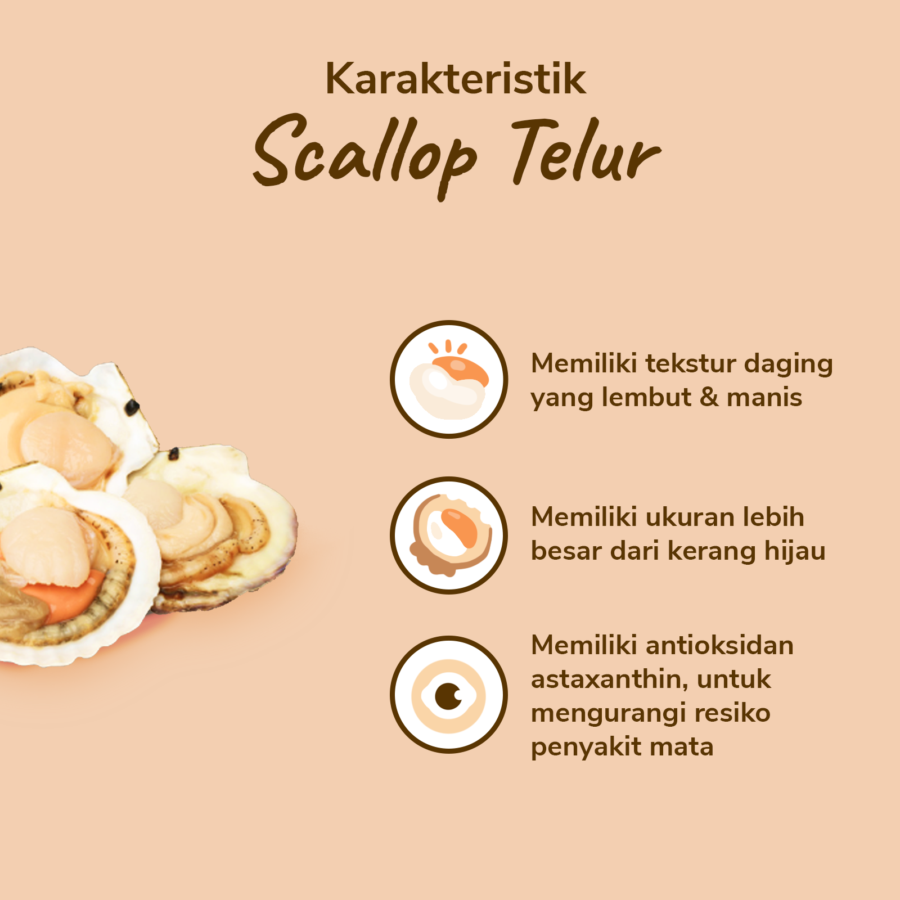 Scallop Telur Java Sea x Astro Goods 300gram