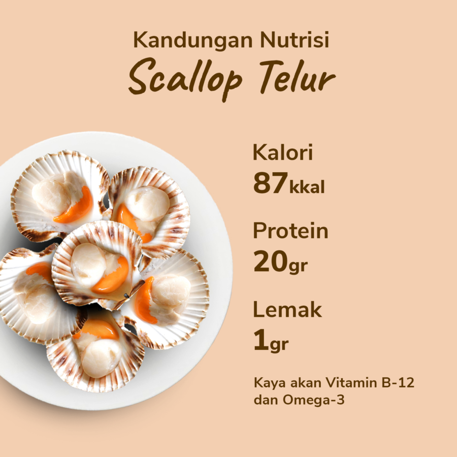 Scallop Telur Java Sea x Astro Goods 300gram