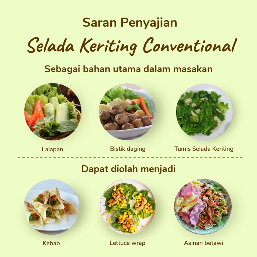 Selada Keriting Konvensional Astro Farm 200gram