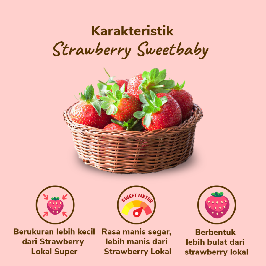 Strawberry Sweetbaby - Astro Farm 130gram