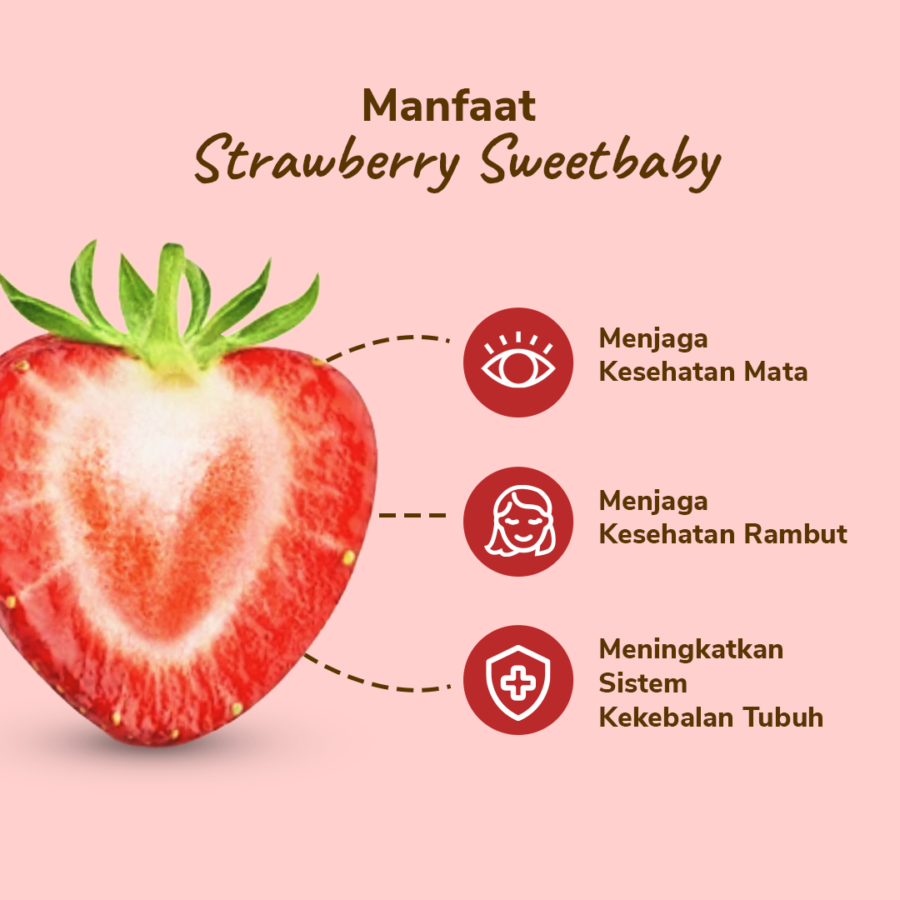 Strawberry Sweetbaby - Astro Farm 130gram