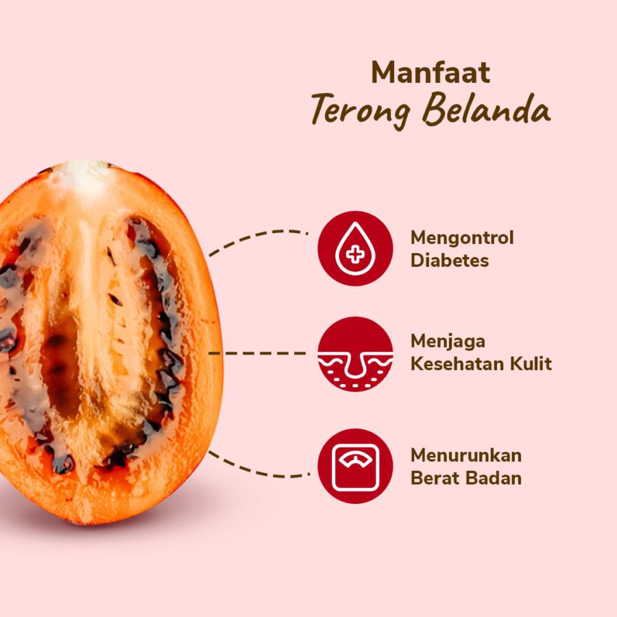Terong Belanda - Astro Farm 500gram