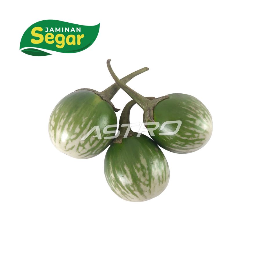 Terong Hijau Lalap - Astro Farm 250gram