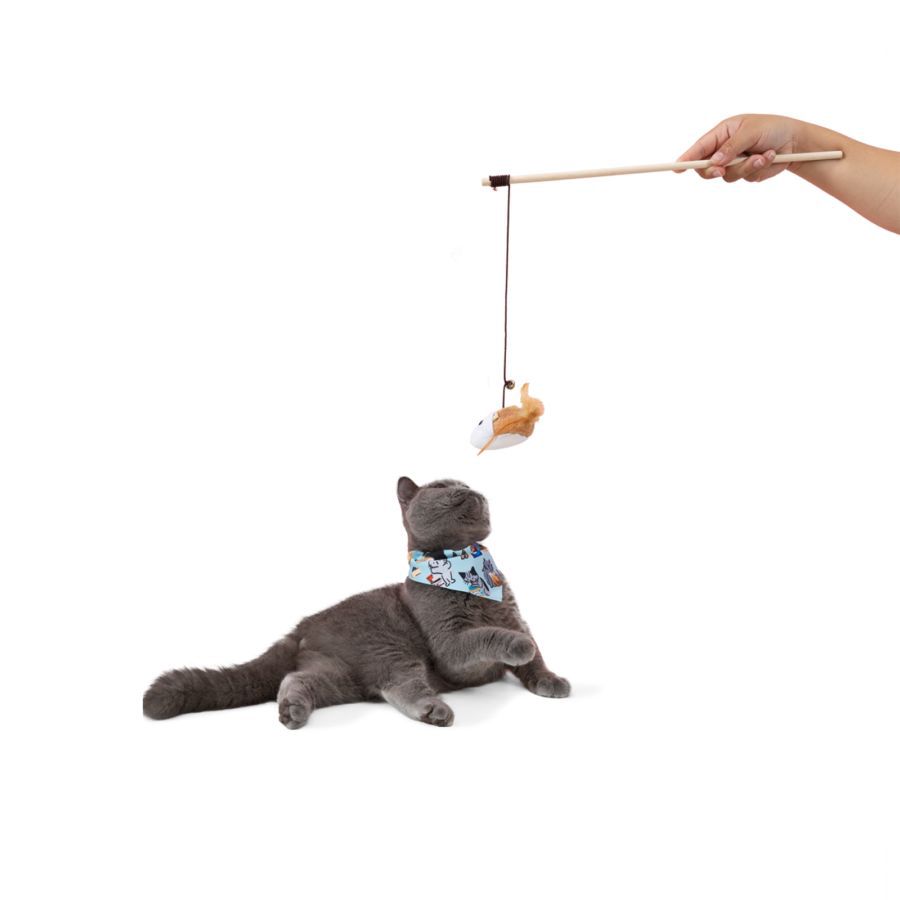 Tongkat Bulu Mainan Kucing - Astro Basics/Animal Toys 1pcs