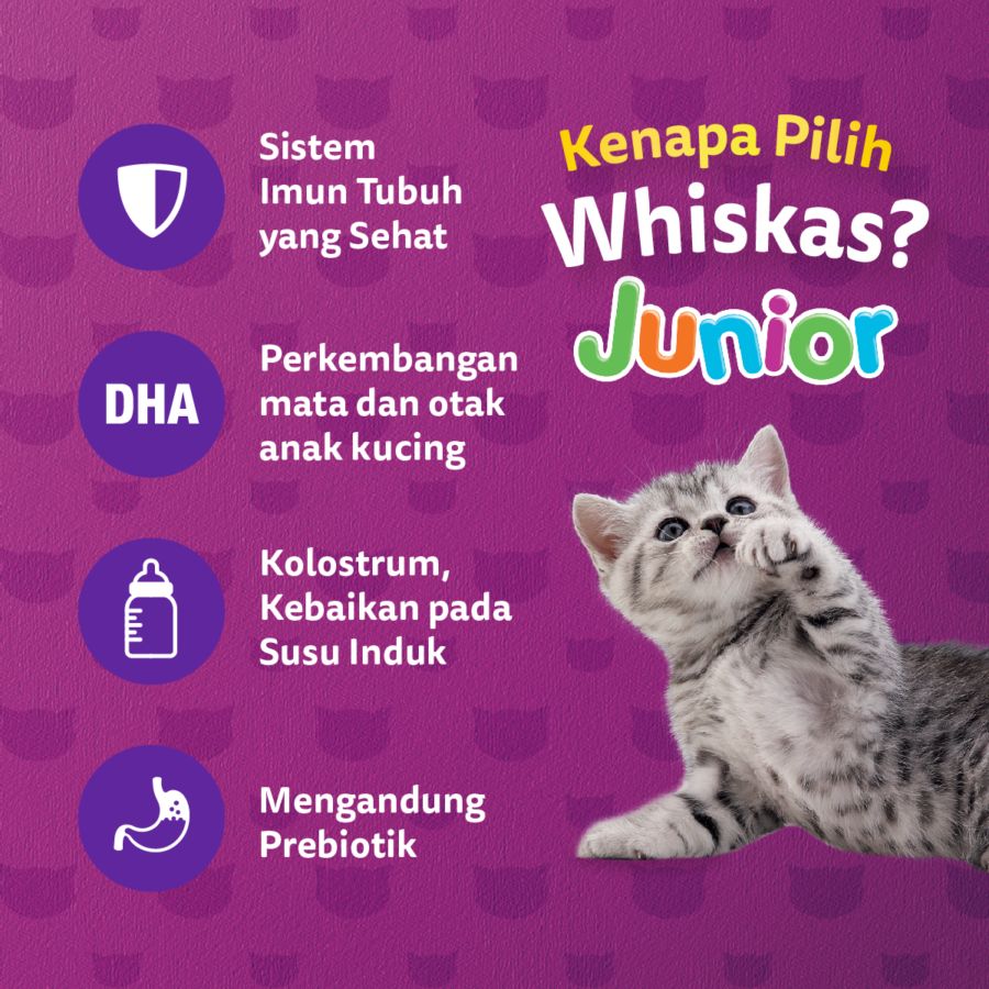 Whiskas Mackerel Junior Makanan Kucing 1100gram