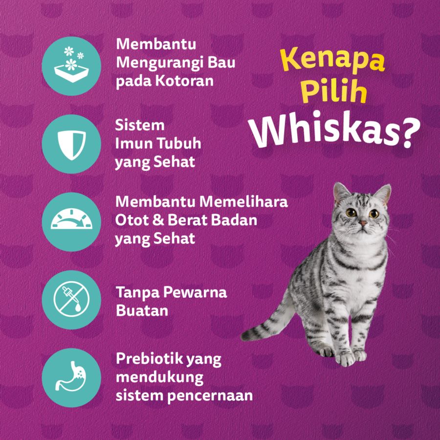 Whiskas Indoor Formula Adult Makanan Kucing Kering 1100gram