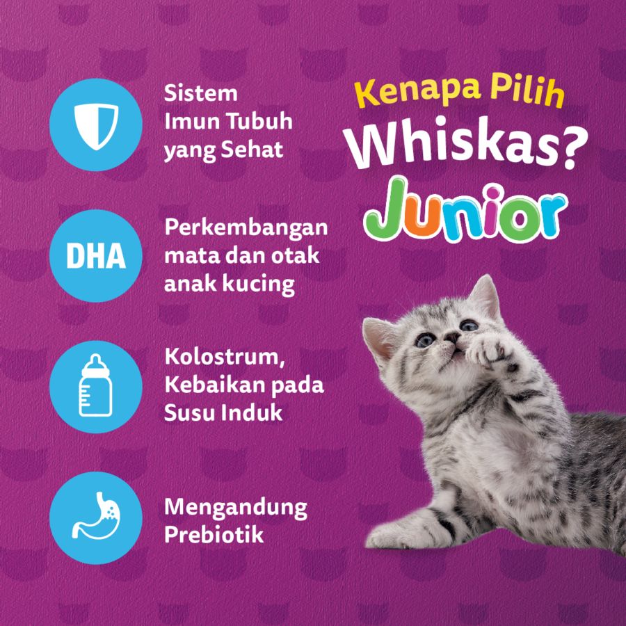 Whiskas Junior Ocean Fish Mother & Kitten Makanan Kucing Kering 450gram