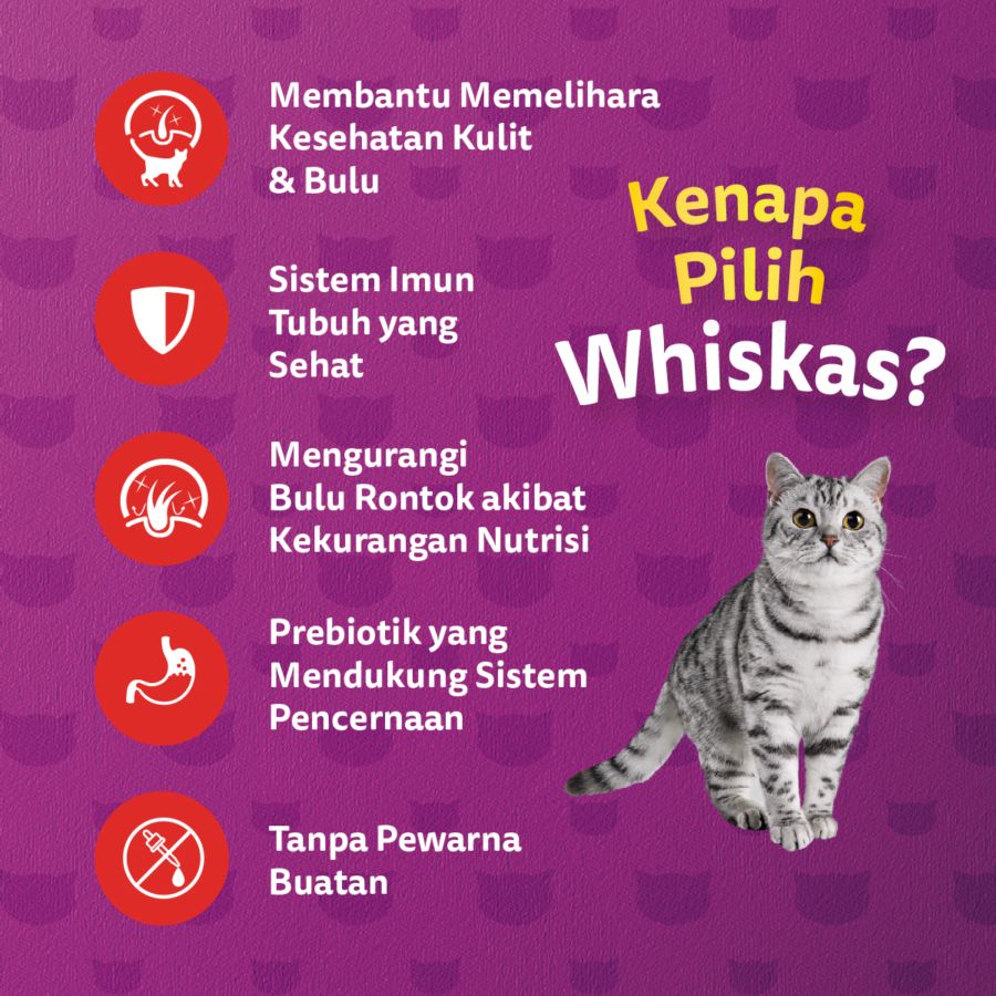 Whiskas Skin & Coat Chicken & Salmon Adult Makanan Kucing 450gram