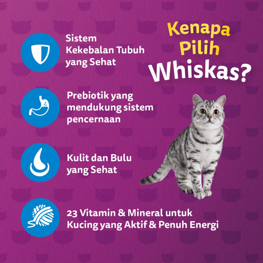 Whiskas Ocean Fish Adult Makanan Kucing Kering 480gram