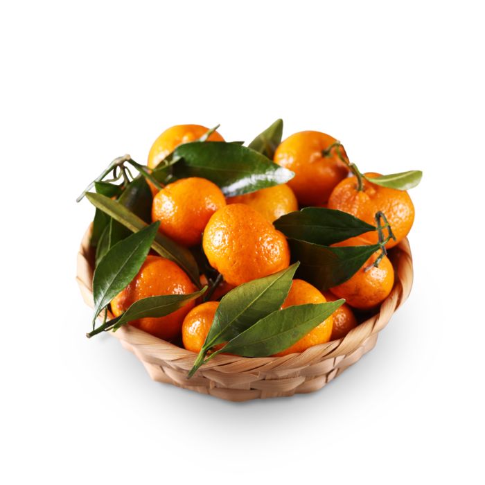 Jeruk Mandarin Shantang Daun Less Seed - Astro Farm