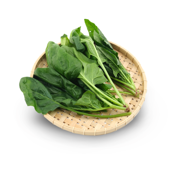 Horenzo Hidroponik Astro Farm