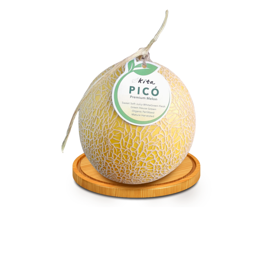 Melon Pico Premium - Size XL 1.3kg - 1.6kg/pcs