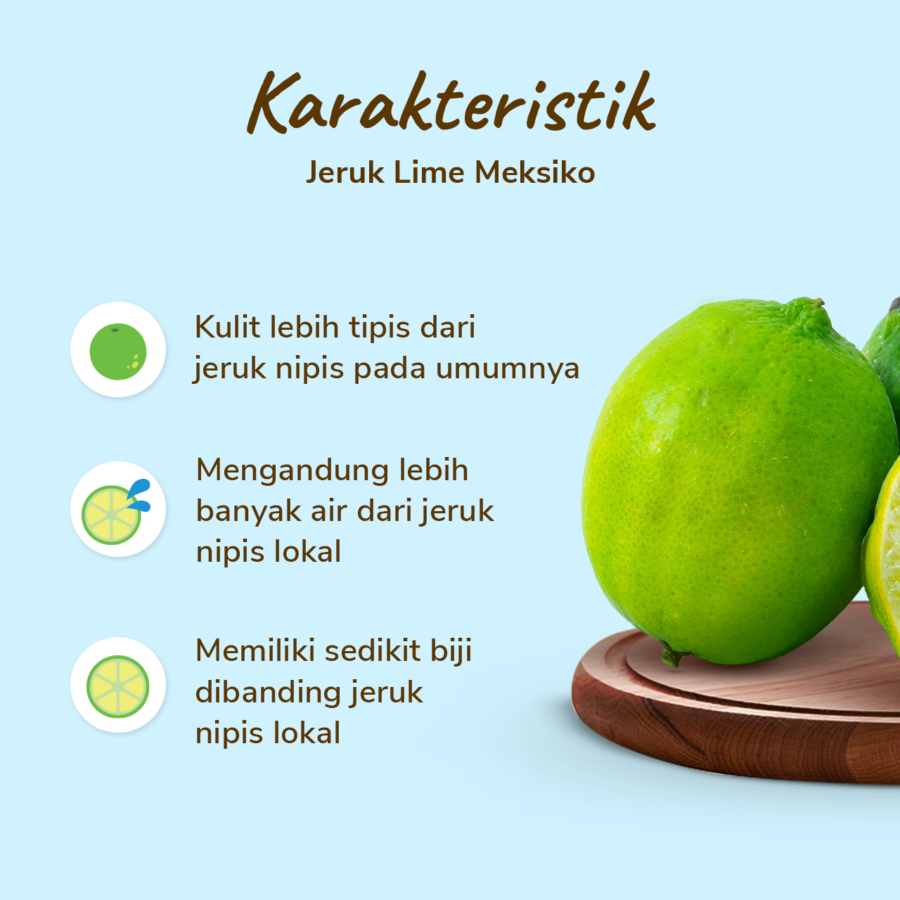 Jeruk Lime Premium Astro Farm 2-3 pcs 250-300 gram