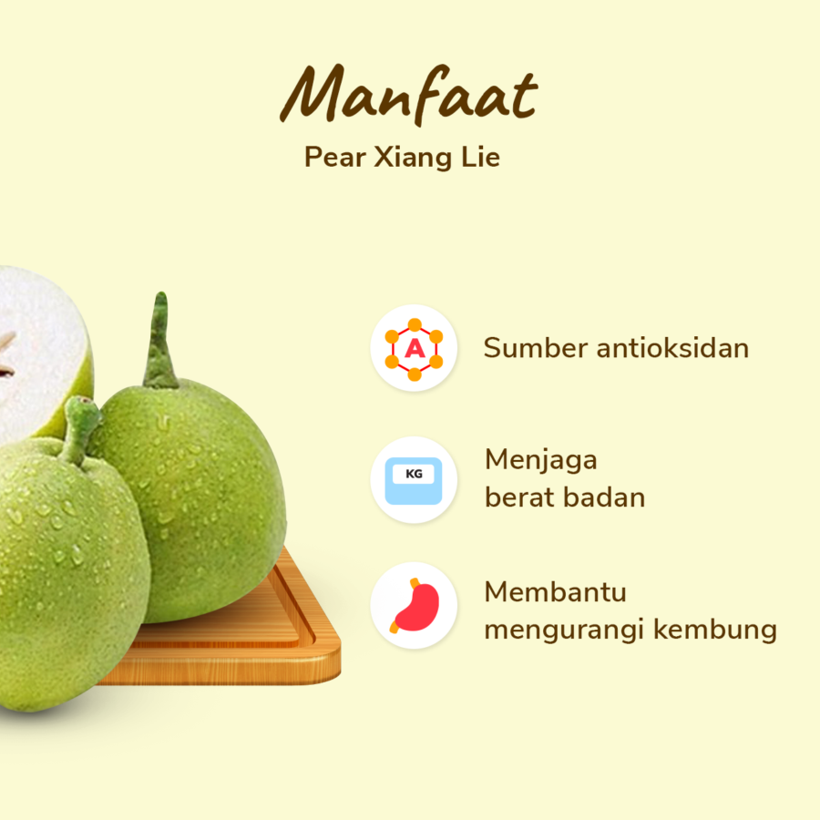 Pear Xiang Lie Astro Farm 3-4 pcs 450-550 gram