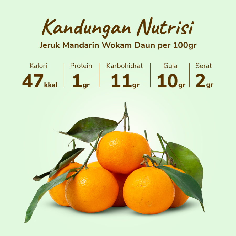Jeruk Mandarin Wokam Daun Astro Farm 750gram