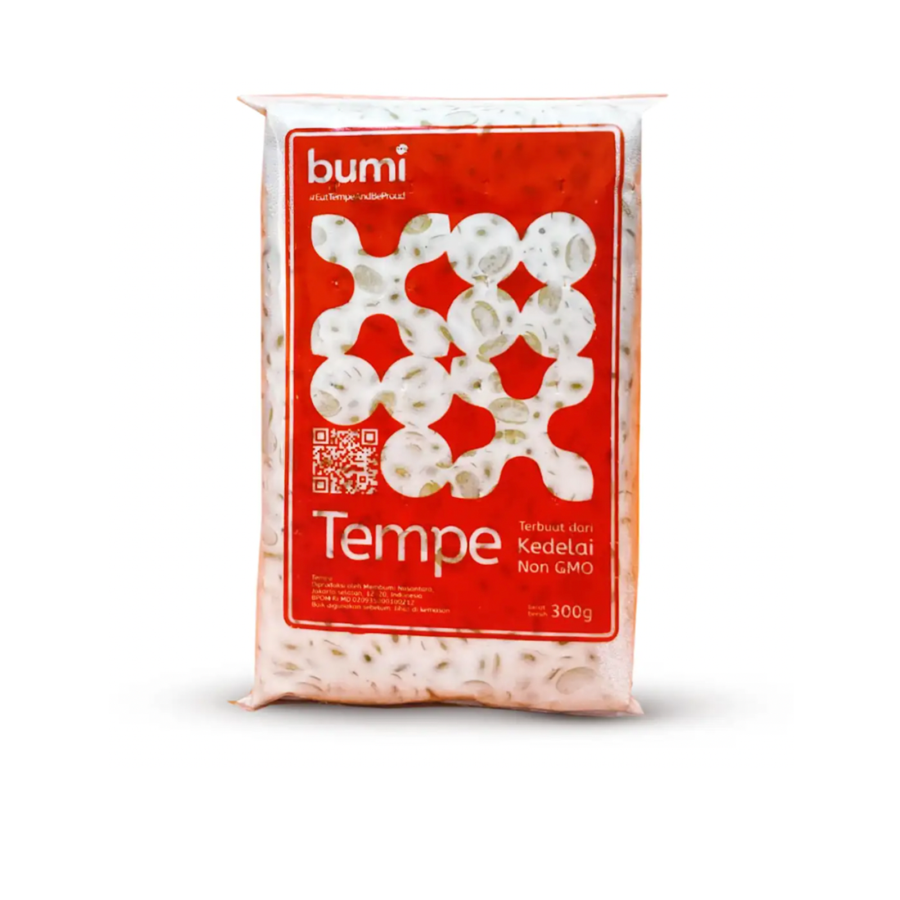 Tempe Bumi non GMO 300gram