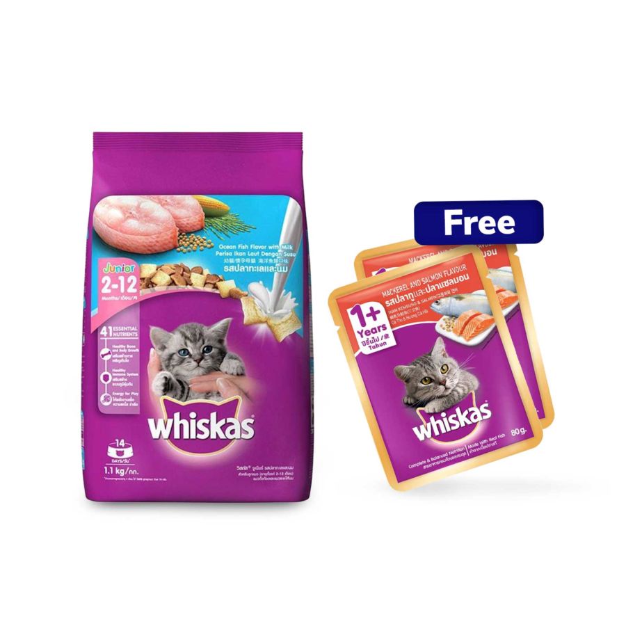 Whiskas Junior Cat Food Ocean Fish 1.1kg Gratis 2 Whiskas Pouch