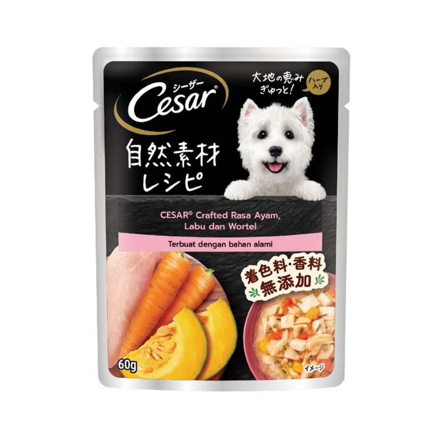 CESAR Naturally Crafted Wet Dog Food - Chicken, Pumpkin & Carrot 60gram