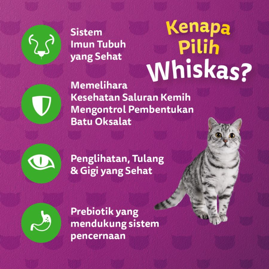 Whiskas Urinary Care Adult Makanan Kucing Kering 1100gram